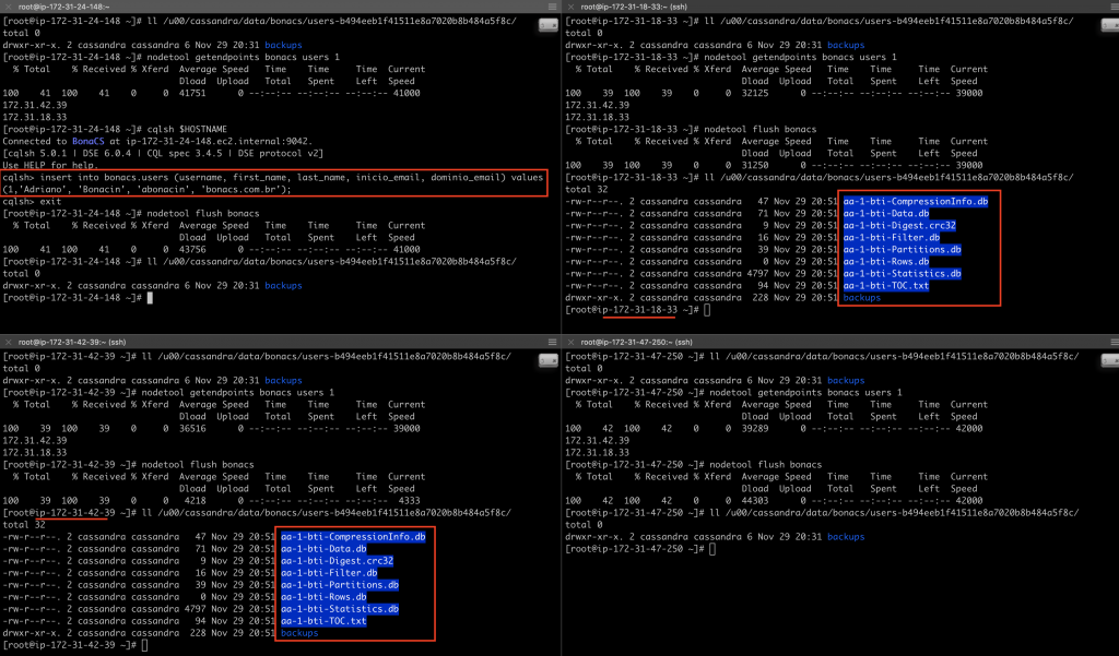 Cassandra Ring, Token, Partition Key Yadax Databases
